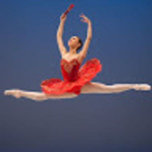 Meet your Posher, Riley